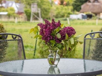 Holiday apartment Ferienwohnung Dorneneck - Outdoor photo 5