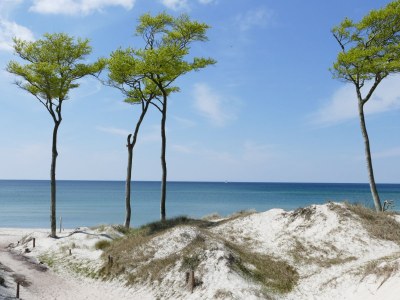 Holiday apartment Ferienwohnung Dorneneck - Environment photo 21