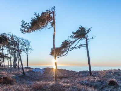 Holiday apartment Ferienwohnung Dorneneck - Environment photo 22