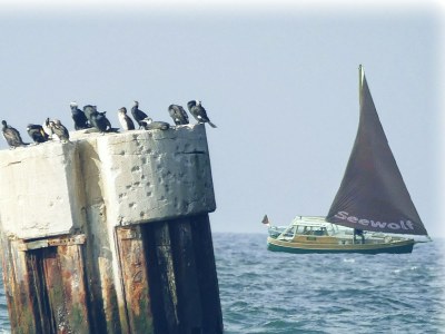 Holiday apartment Ferienwohnung Dorneneck - Environment photo 23