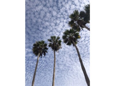 Holiday apartment Dream House Right at the Beach - Environment photo 37