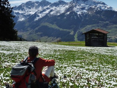 Apartment Bergjuwel Tirol - Environment photo 36