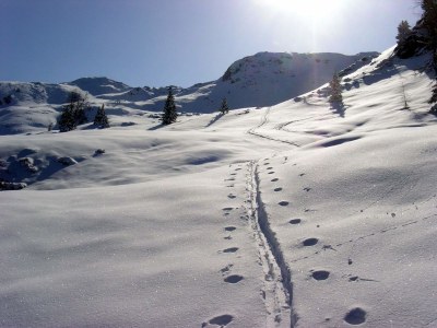 Apartment Bergjuwel Tirol - Environment photo 38