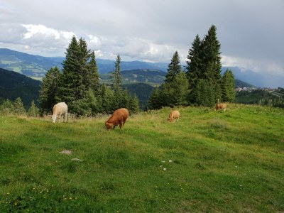 Chalet Klippitzhimmel - Outdoor photo 9