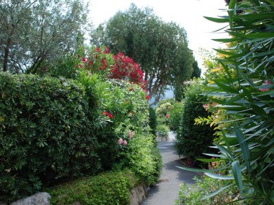 Villa Lou Colombier in Domaine de Respelido - Outdoor photo 15