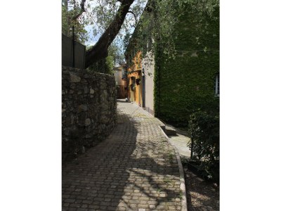 Holiday apartment Gli Ulivi - Environment photo 14