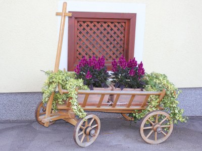 Holiday apartment Reindl "Brennerin" - Outdoor photo 14