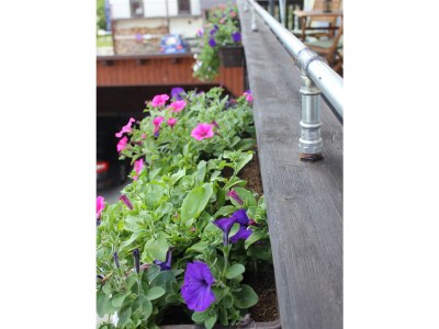 Holiday apartment Reindl "Brennerin" - Outdoor photo 18