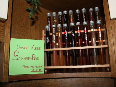 Holiday apartment Reindl "Brennerin" - Environment photo 40