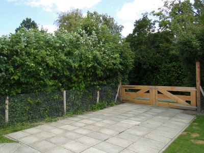 Bungalow Valkenhof - Outdoor photo 4