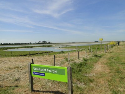 Bungalow Valkenhof - Environment photo 25