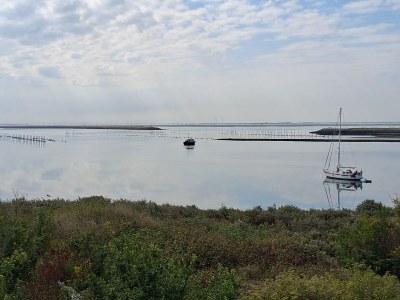 Bungalow Valkenhof - Environment photo 33