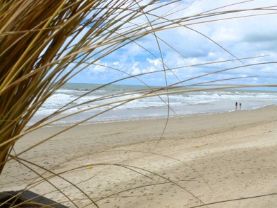 Apartment de Vries 2 - Environment photo 11