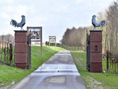 Apartment de Vries 2 - Environment photo 27