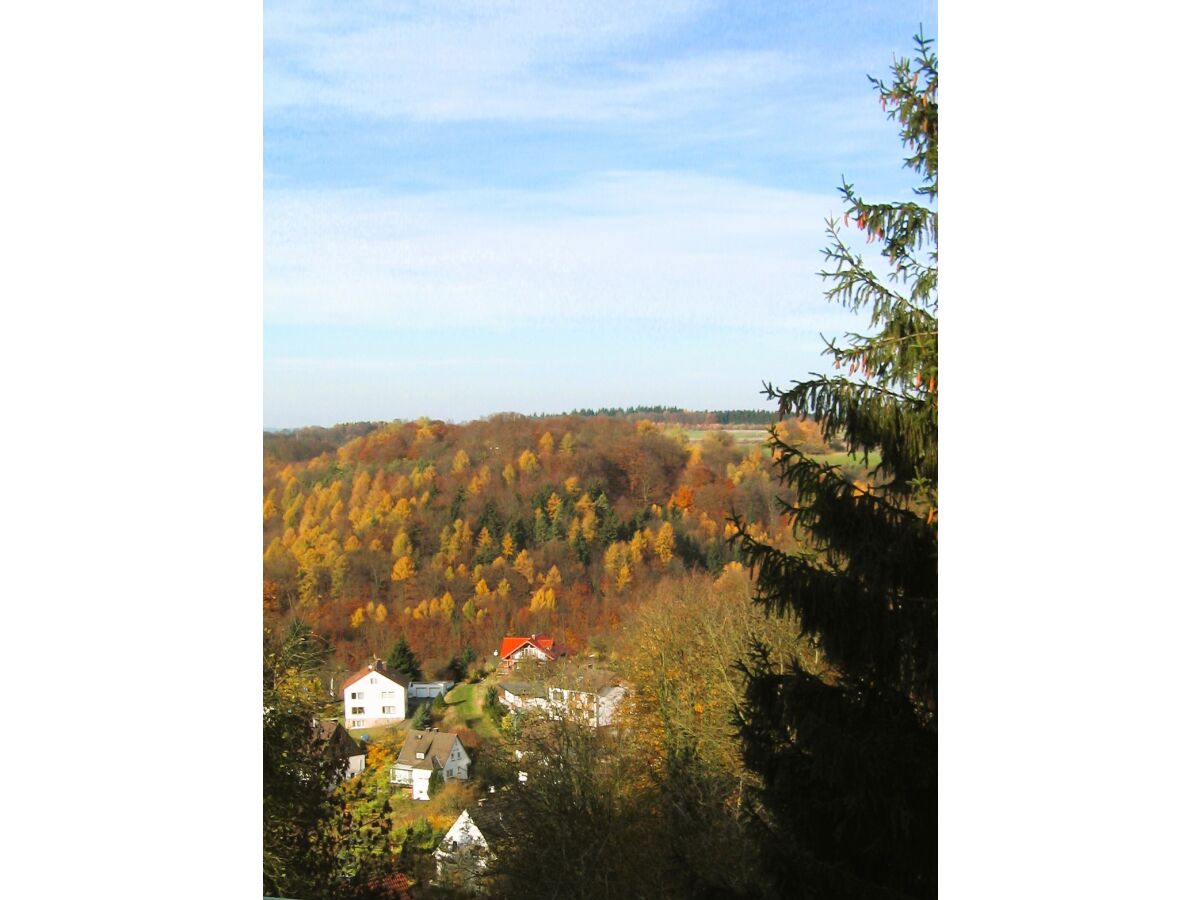 Holiday apartment Cheap app. in beautiful area near Edersee - Outdoor photo 3