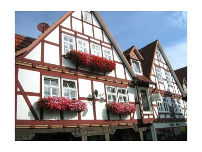 Holiday apartment Cheap app. in beautiful area near Edersee in Waldeck - Holiday apartment