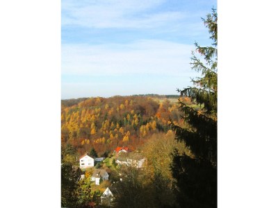 Holiday apartment Cheap app. in beautiful area near Edersee - Outdoor photo 3