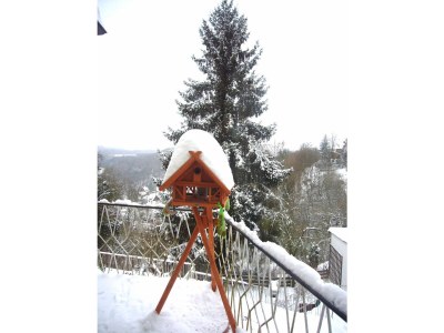 Holiday apartment Cheap app. in beautiful area near Edersee - Outdoor photo 9