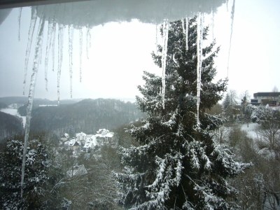 Holiday apartment Cheap app. in beautiful area near Edersee - Outdoor photo 11