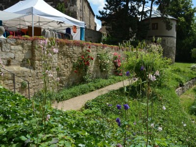 Holiday apartment Domschatz - Environment photo 20