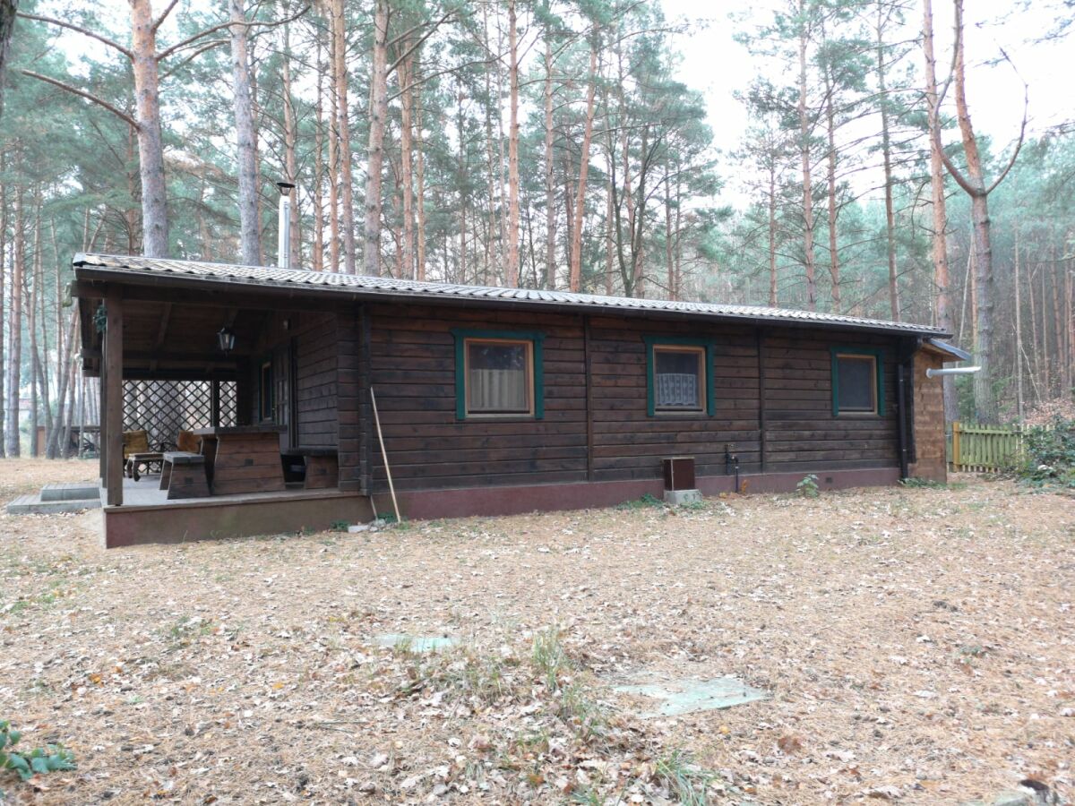 Holiday house Ferch forest hut (Schwielowsee) - Outdoor photo 4
