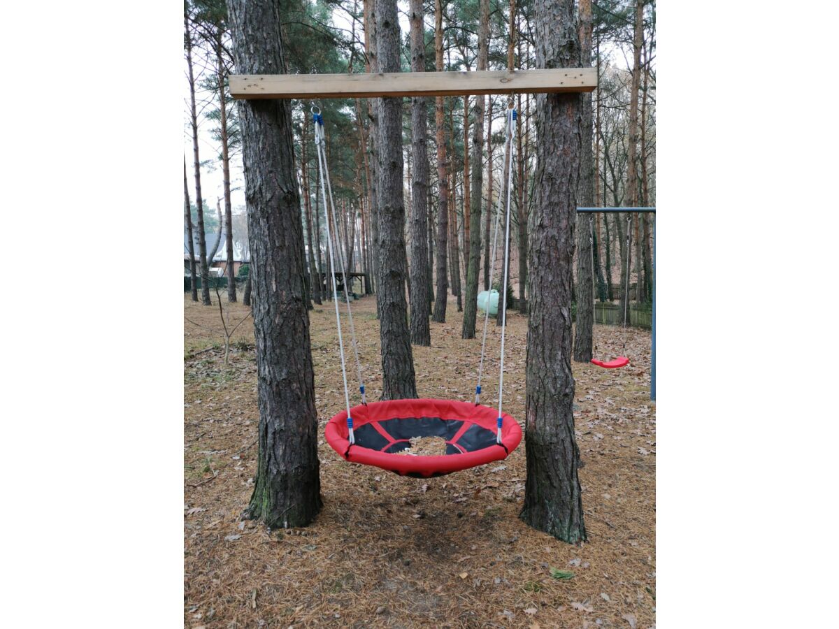 Holiday house Ferch forest hut (Schwielowsee) - Outdoor photo 5