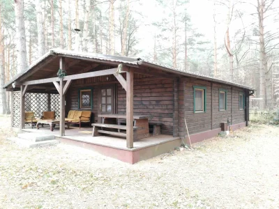 Holiday house Ferch forest hut (Schwielowsee) in Schwielowsee - Holiday house