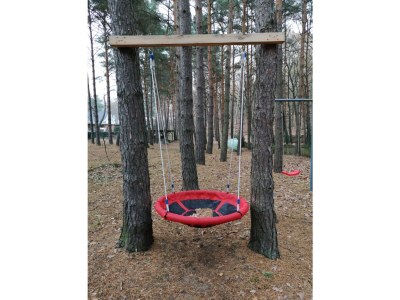 Holiday house Ferch forest hut (Schwielowsee) - Outdoor photo 5