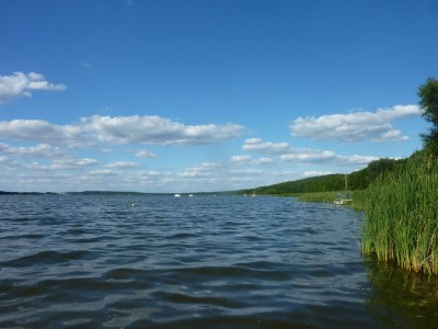 Holiday house Ferch forest hut (Schwielowsee) - Environment photo 16