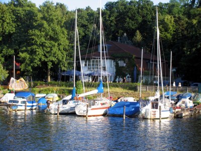 Holiday house Ferch forest hut (Schwielowsee) - Environment photo 17