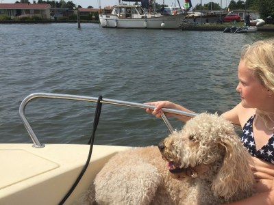 Bungalow Aquaronde 117 - Environment photo 29