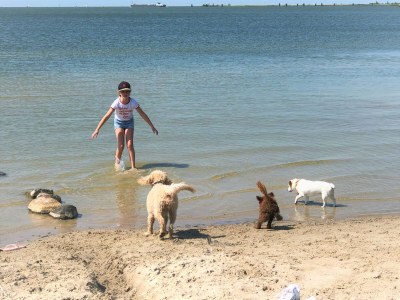 Bungalow Aquaronde 117 - Environment photo 33