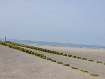 Holiday house Bruinisse 2 - Environment photo 18