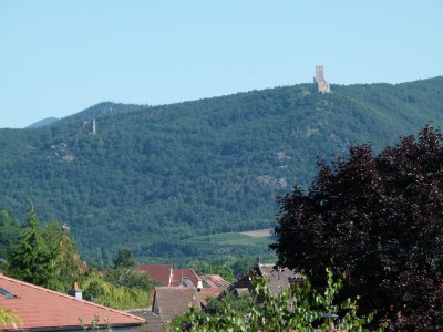 Holiday apartment La Grange D'Alphonse - Outdoor photo 8