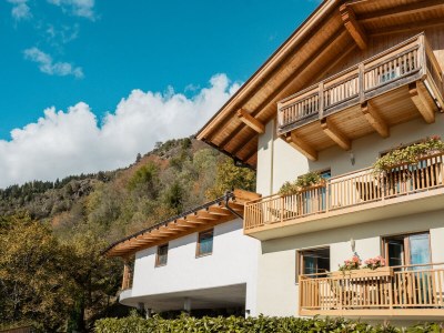 Apartment Sunrise Niederhaushof - Outdoor photo 7