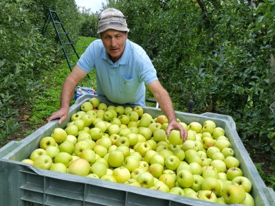 Apartment Sunrise Niederhaushof - Outdoor photo 10