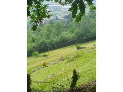 Apartment Sunrise Niederhaushof - Outdoor photo 12