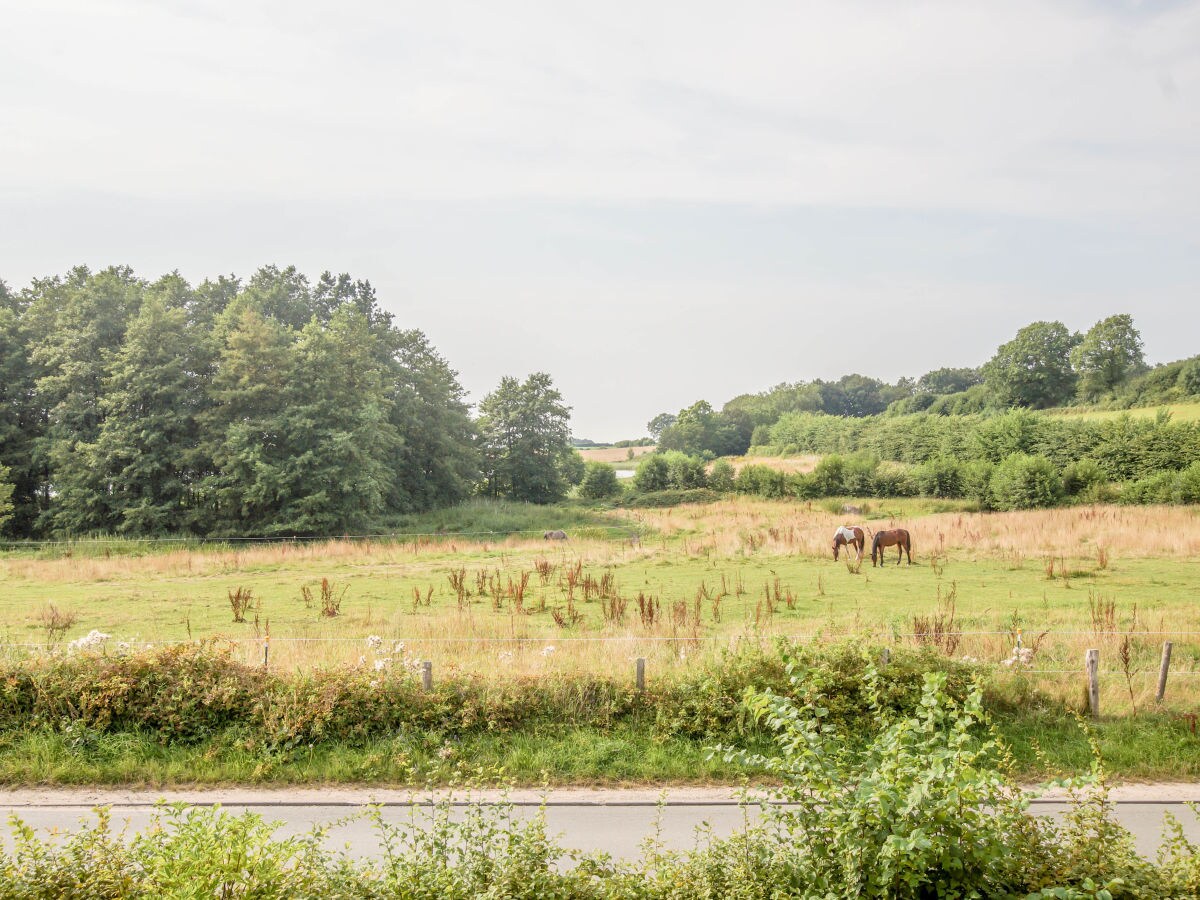 Holiday house Haus am See - Outdoor photo 5