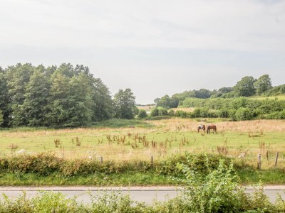 Holiday house Haus am See - Outdoor photo 5