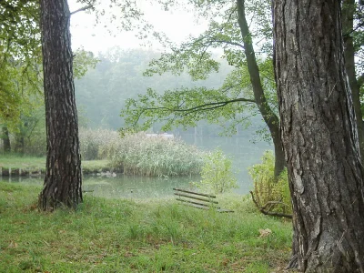 Holiday apartment Haus Elsenhöhe, Rheinsberg 2 - Environment photo 14