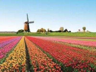 Holiday apartment de Ridder - Environment photo 20