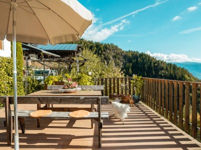 Apartment Kastanie Niederhaushof - Outdoor photo 3