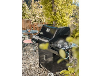 Apartment Kastanie Niederhaushof - Outdoor photo 6