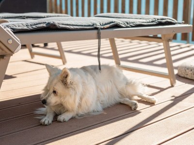 Apartment Kastanie Niederhaushof - Outdoor photo 9