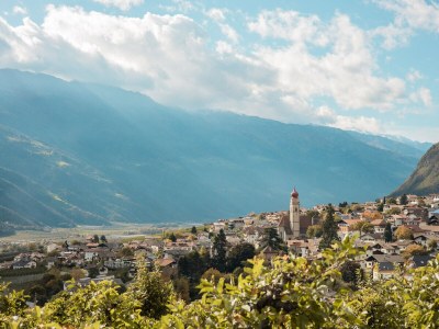 Apartment Kastanie Niederhaushof - Environment photo 30