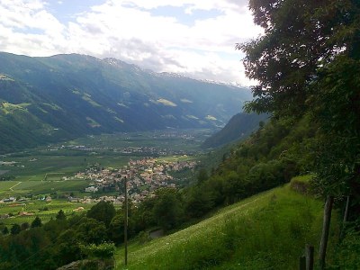 Apartment Kastanie Niederhaushof - Environment photo 33