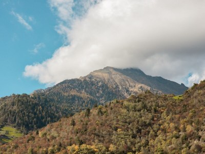 Apartment Kastanie Niederhaushof - Environment photo 34