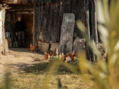 Apartment Kastanie Niederhaushof - Environment photo 36