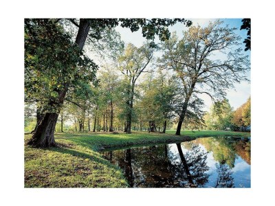 Holiday house Drewitz HA3 - Environment photo 23