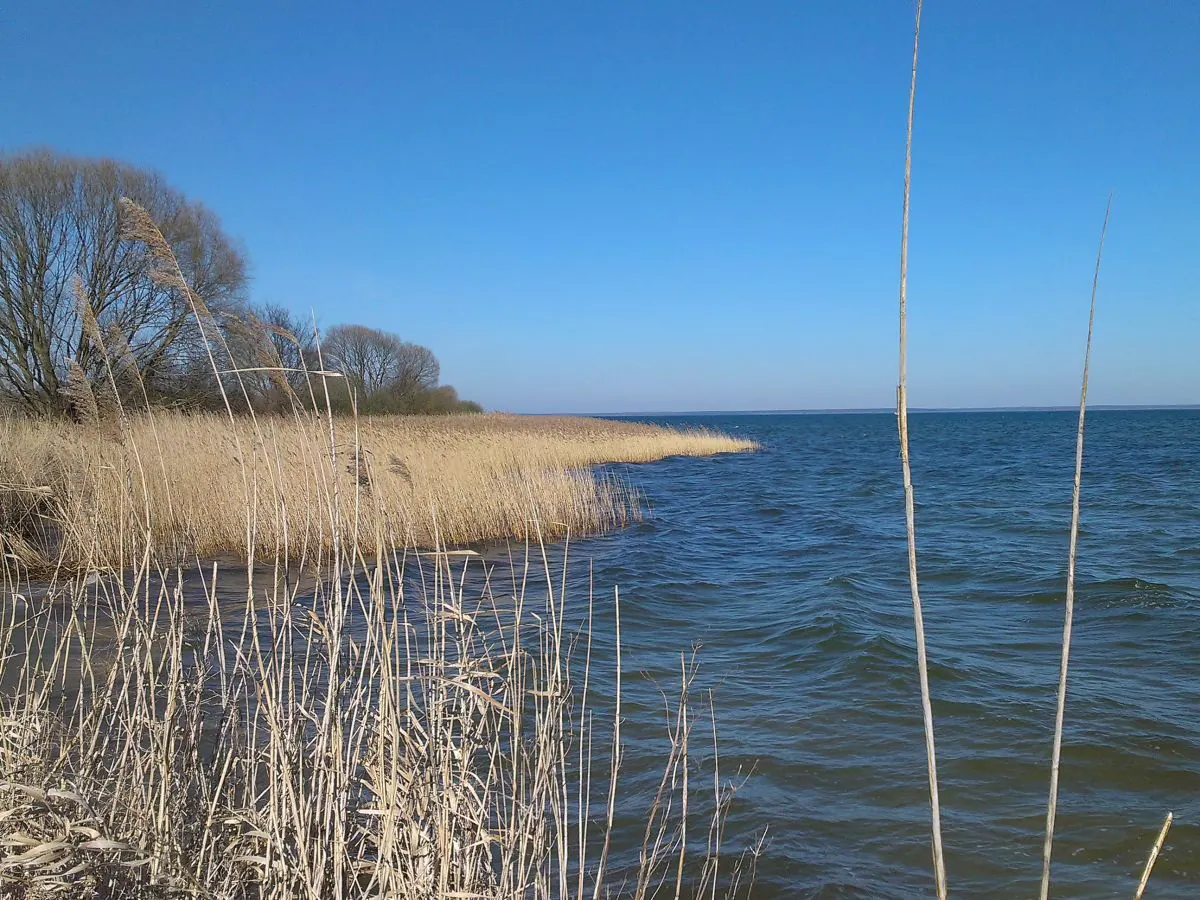 Holiday house Neu Gaarz 18 - Outdoor photo 3